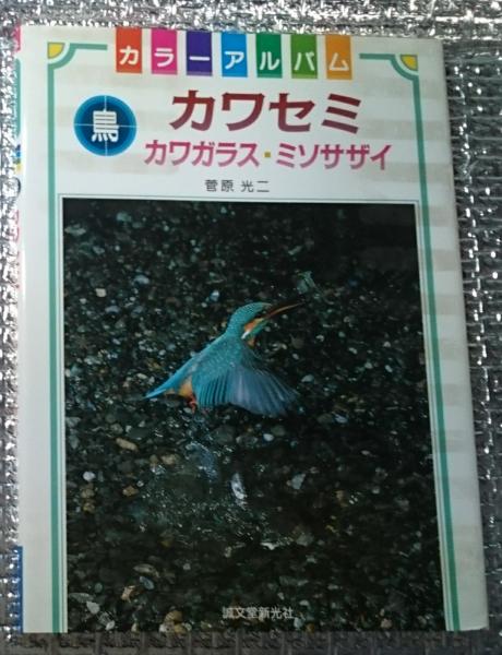 カラーアルバム鳥 カワセミ カワガラス ミソサザイ 菅原光二 善光洞山崎書店 古本 中古本 古書籍の通販は 日本の古本屋 日本の古本屋