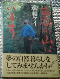 裏の山にいます 夢の自然暮らしをしてみませんか!