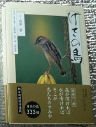 けさの鳥 日本の鳥３３３種
