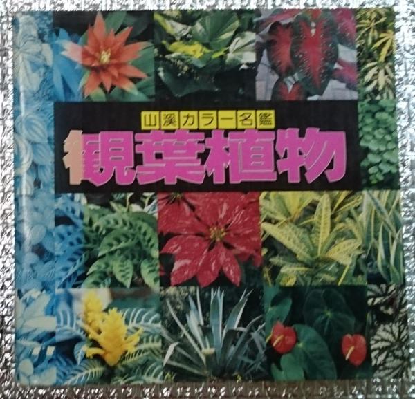 観葉植物 山渓カラー名鑑(高林成年編・解説) / 善光洞山崎書店 観葉植物 山渓カラー名鑑(高林成年編・解説) / 善光洞山崎書店