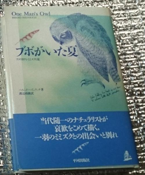 現代日本語韓国語の格助詞の比較研究(朴在權) / 善光洞山崎書店