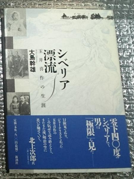 子ども社会学の現在 いじめ・問題行動・育児不安の構造(住田正樹