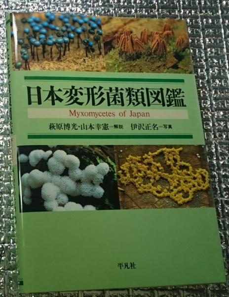 新しいスタイル 日本変形菌類図鑑(萩原博光・山本幸憲解説 伊沢正名写真) / 善光 生物学
