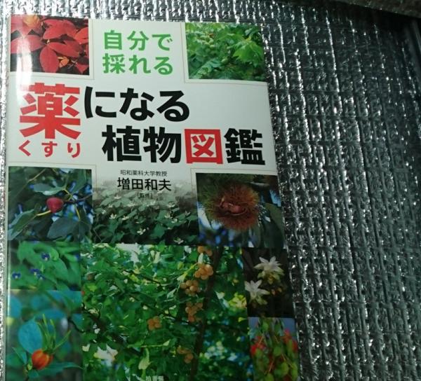 自分で採れる薬になる植物図鑑(増田和夫) / 古本、中古本、古 自分で採れる薬になる植物図鑑(増田和夫) / 古本、中古本、古