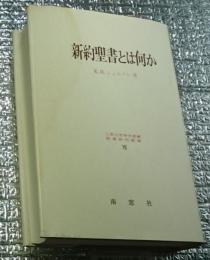 新約聖書とは何か 聖書研究叢書