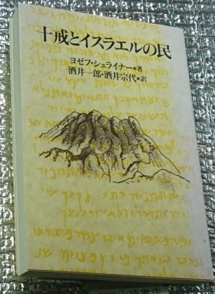 子ども社会学の現在 いじめ・問題行動・育児不安の構造(住田正樹