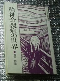 精神分裂病の世界 新装版