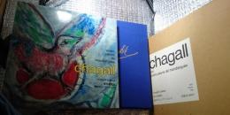 シャガール Chagall 緑の河(オリジナル・リトグラフ１９７４)付き