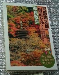 奈良散歩 街道をゆく 用語解説詳細地図付き