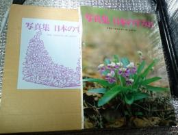日本のすみれ 写真集