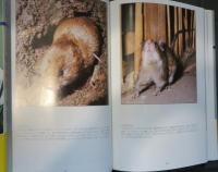 写真集　しなの動植物記　全三巻　けもの・魚　鳥・昆虫　ブナ林