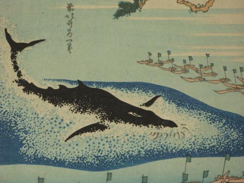 千繪の海 五島鯨突 北斎画 浮世絵 葛飾北斎 前北斎為一筆 ほその書店 古本 中古本 古書籍の通販は 日本の古本屋 日本の古本屋 千繪の海 五島鯨突 北斎画 浮世絵 葛飾北斎 前北斎為一筆 ほその書店 古本 中古本 古書籍の通販は 日本の古本屋 日本の古本屋