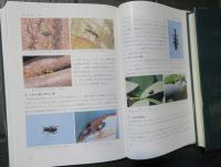 丸子町誌　自然編　民俗編