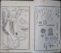 小兒のできる噺し　初月～臨月