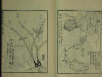 備荒草木圖　乾・坤