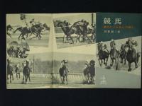 競馬　演出か、八百長か、作戦か