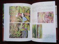 食虫植物　多様性と進化