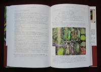 食虫植物　多様性と進化