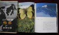 山の紋章・雪形