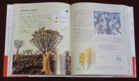 樹木の世界大図鑑