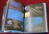 日本クラゲ大図鑑