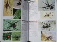 ネイチャーガイド　日本のクモ
