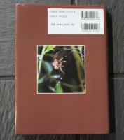 ネイチャーガイド　日本のクモ