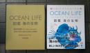 OCEAN LIFE 図鑑 海の生物