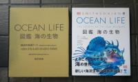 OCEAN LIFE 図鑑 海の生物