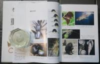 動物学の百科事典