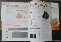 遺伝子図鑑