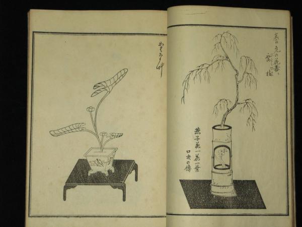 古流生花再撰百瓶図 古流生花松の志 津攻 全 古流生花門中百五十瓶図 3冊セット 古流生花再撰百瓶図 古流生花松の志 津攻 全 古流生花門中百五十瓶図 3