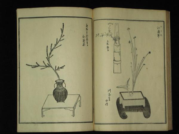 古流 生花 松乃志津玖 | 法橋理恩 | 前田梅吉 | ¥3,000 - 日本の古本屋