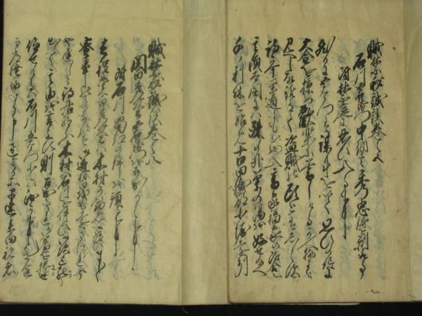 禁秘誠談 10卷 全 天地2冊 写本 和本 古書 古文書 賊禁秘誠談 写本10巻 3冊揃 / 古本、中古本、古書籍の通販は「日本の