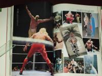 ゴング創刊13周年記念　永久保存版 THE WRESTLER BEST 100 ゴング創刊13周年記念 永久保存版 ザ・レスラー・ベスト100(小柳幸郎