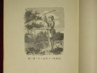 新式昆蟲標本全書