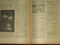 採集と飼育　昭和23年　1年分