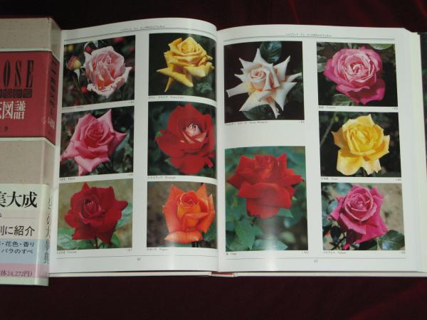 LA ROSE ばら・花図譜(鈴木省三) / 古本、中古本、古書籍の通販は