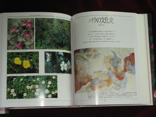 LA ROSE ばら・花図譜(鈴木省三) / 古本、中古本、古書籍の通販は