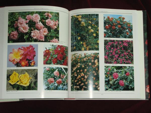 LA ROSE ばら・花図譜(鈴木省三) / 古本、中古本、古書籍の通販は