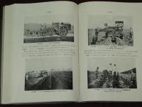 瓜哇の甘蔗栽培　（ジャワ・砂糖キビ）