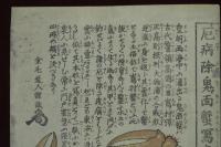 厄病除鬼面蟹寫真