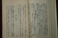 怪傑ヒットラと其運動　民衆文庫