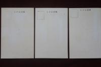 信州　信濃　手彩色絵はがき　諏訪湖冬、スケート　他3種