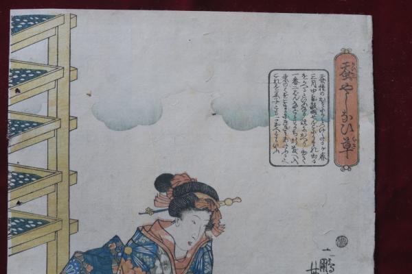 蚕やしなひ草 蚕種 芳藤画(芳藤画 （一鵬斎 芳藤／歌川 芳藤）) / 古本