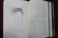 風変わりな推理の物語　虚像淫楽