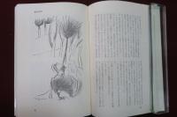 風変わりな推理の物語　虚像淫楽