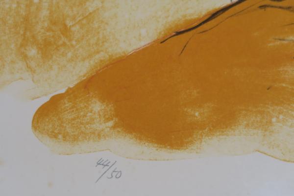 池田満寿夫 マンゴ Mango リトグラフ 1976年 代表作(池田満寿夫
