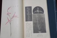 蘭華譜　全