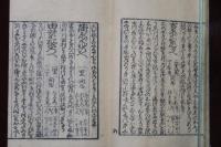 東海道 木曽路 安見両道中記　全
